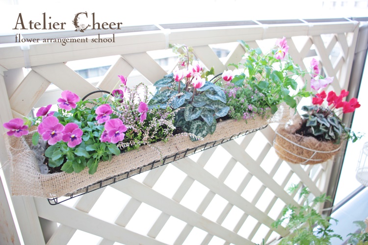 ベランダガーデニング 秋冬から春先までの簡単寄せ植え Atelier Cheer