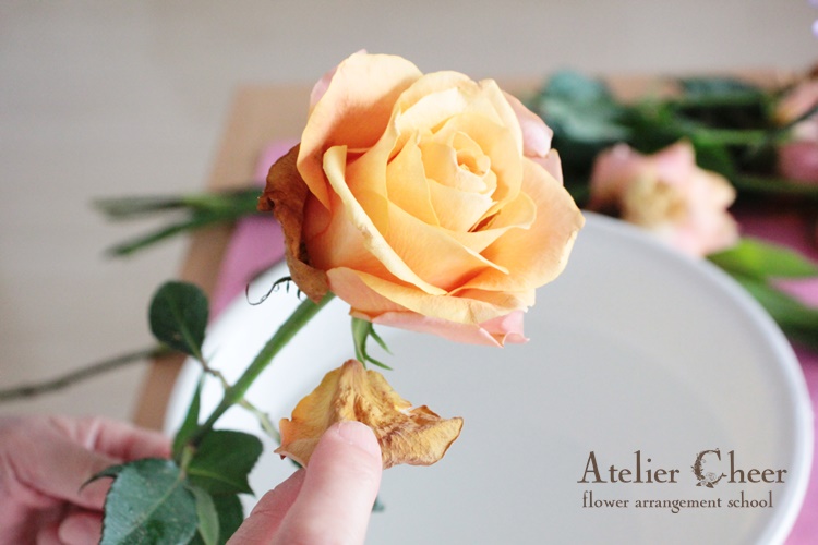 切り花 を長持ちさせる方法とコツ 水切り 水揚げ Atelier Cheer