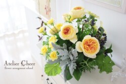 バラ "キャラメルアンティーク"